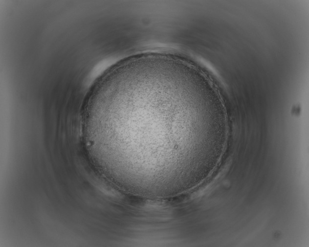 X0000092321267200709281359