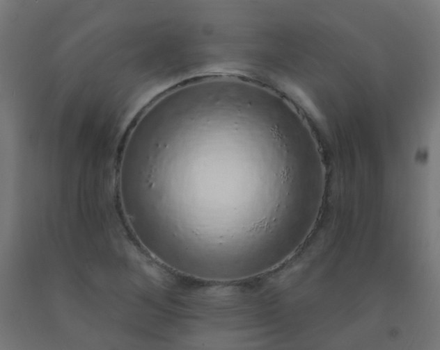 X0000092321268200709281359
