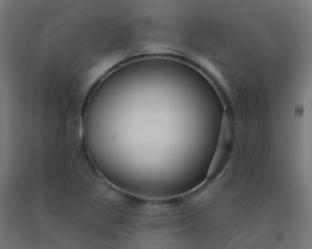 X0000092321269200709281359