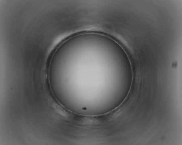 X0000092321270200709281359