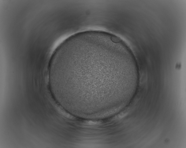 X0000092321271200709281359