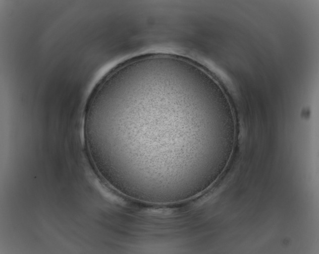 X0000092321272200709281359