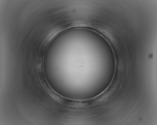 X0000092321273200709281359