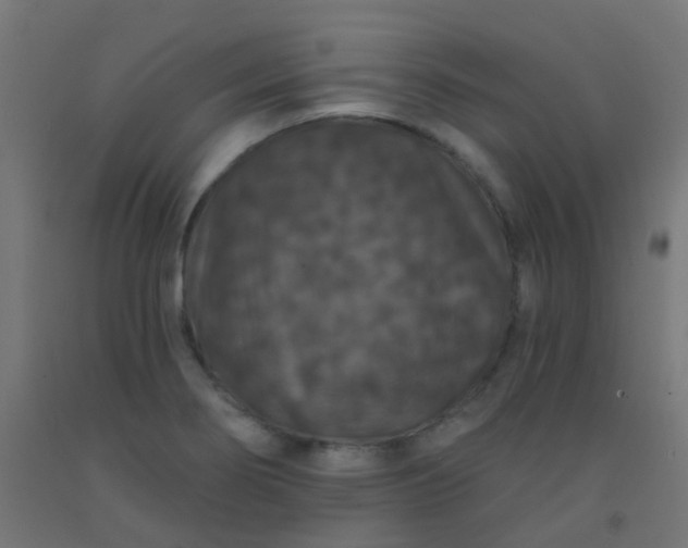 X0000092321274200709281359