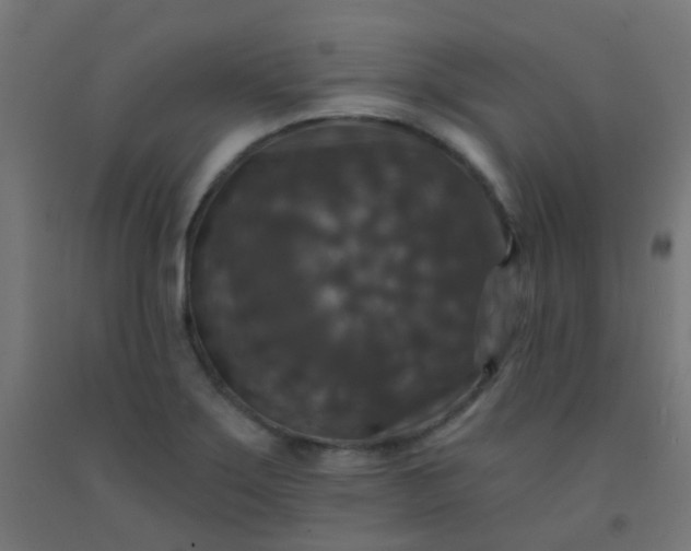 X0000092321275200709281359
