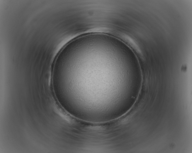 X0000092321276200709281359