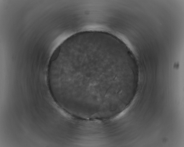 X0000092321277200709281359