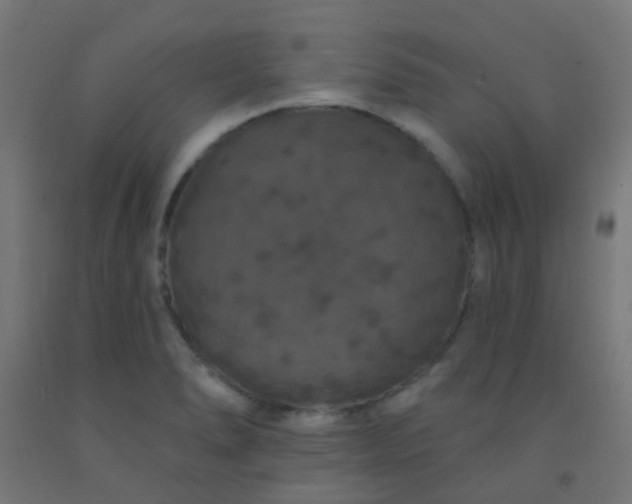 X0000092321278200709281359
