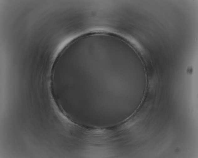 X0000092321279200709281359