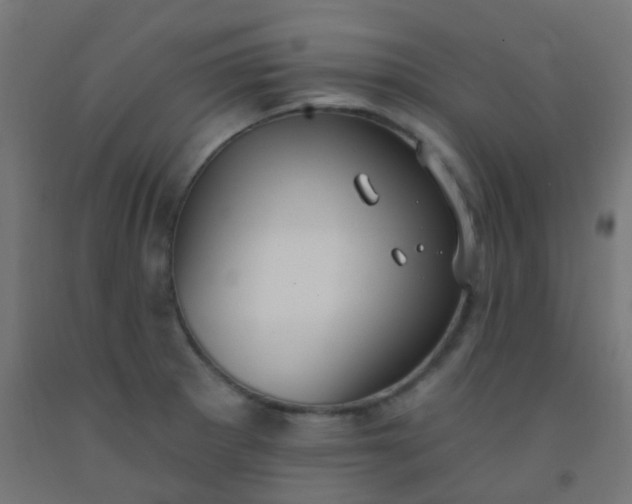 X0000092321281200709281359