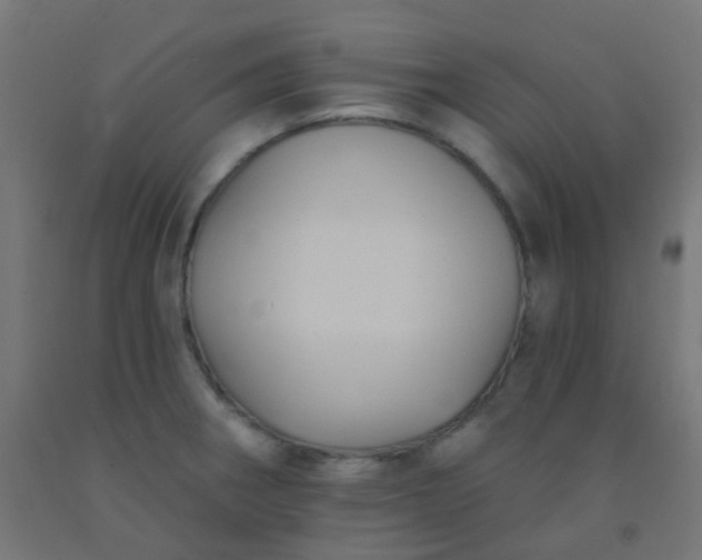 X0000092321282200709281359