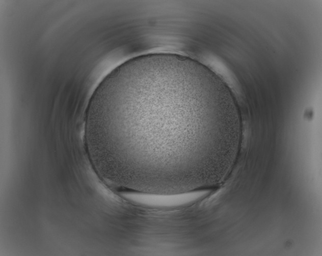X0000092321284200709281359