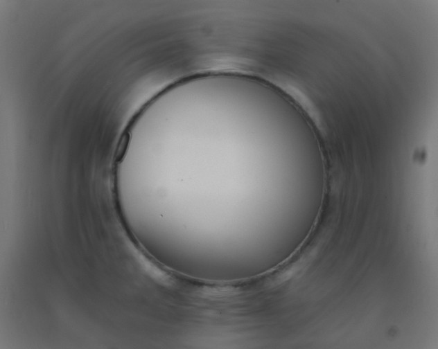 X0000092321285200709281359