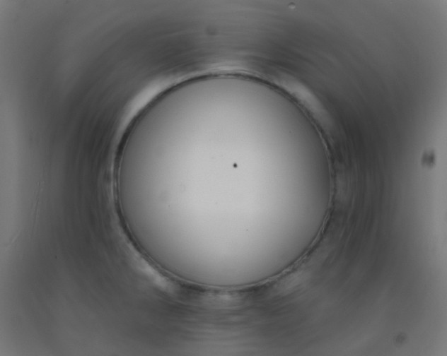 X0000092321286200709281359