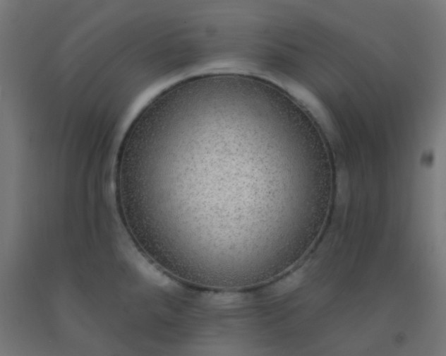 X0000092321288200709281359