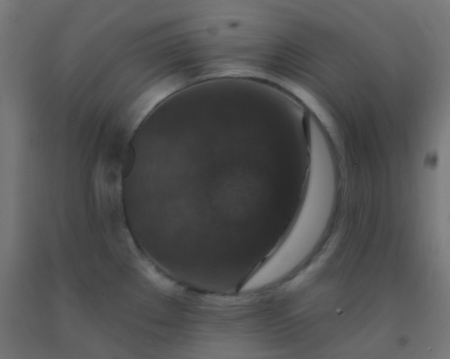 X0000092321289200709281359