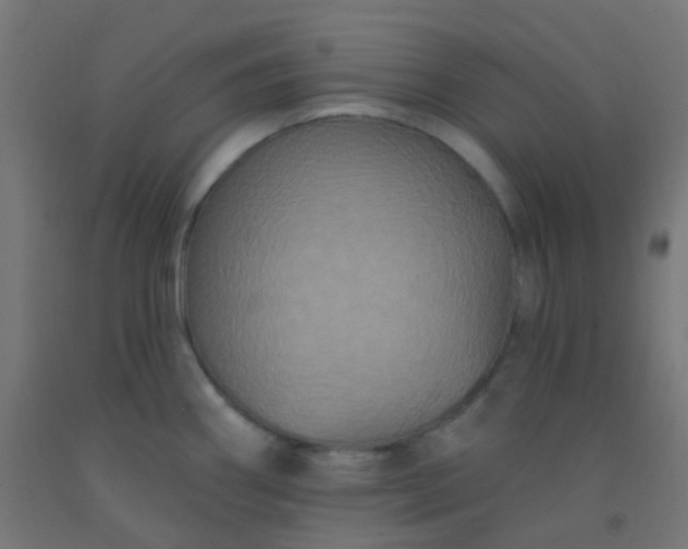 X0000092321290200709281359