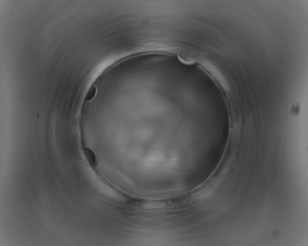 X0000092321291200709281359