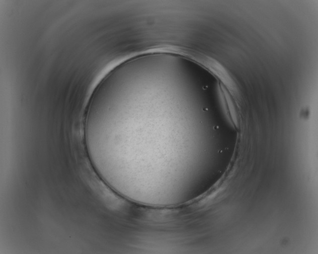X0000092321292200709281359