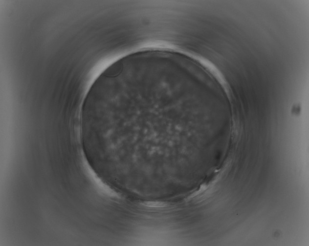 X0000092321295200709281359