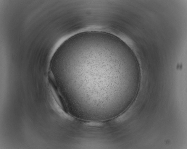 X0000092321296200709281359