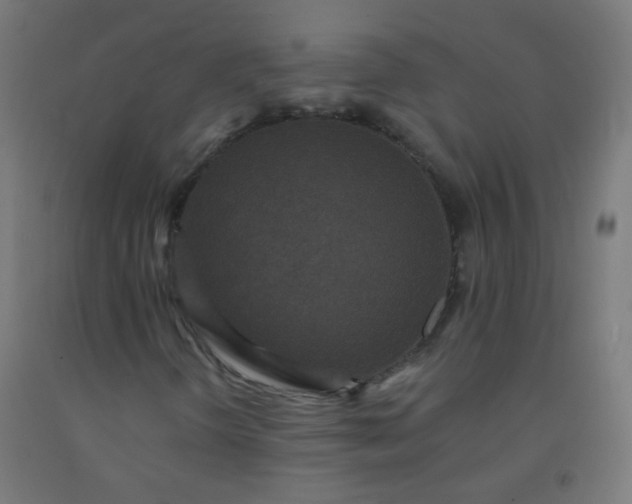X0000092321298200709281358