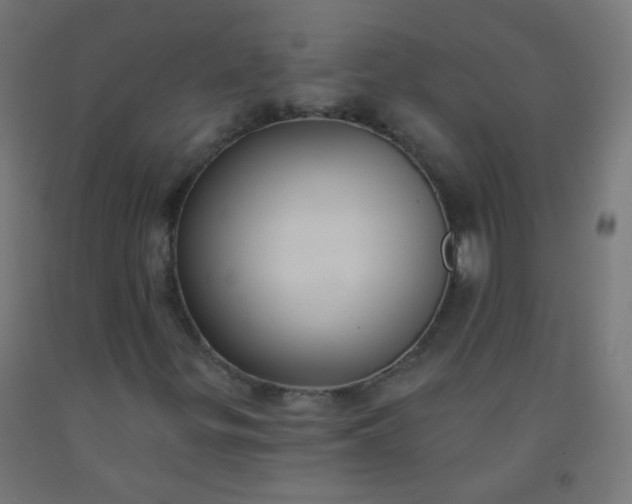 X0000092321299200709281358