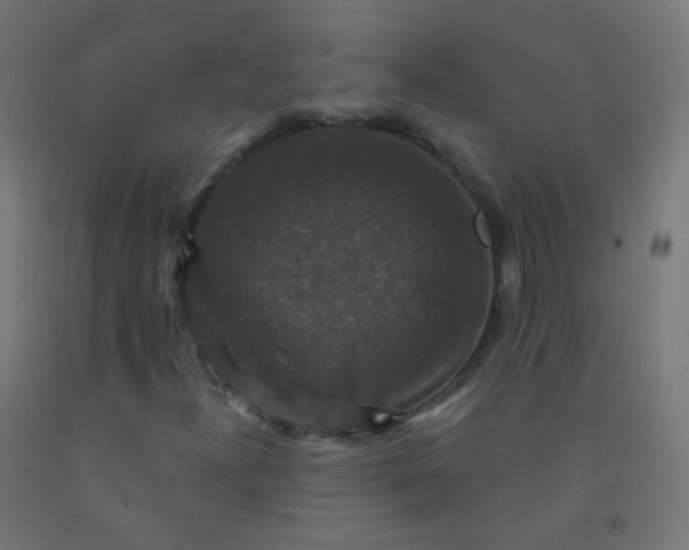 X0000092321300200709281358