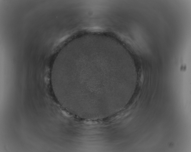 X0000092321301200709281358