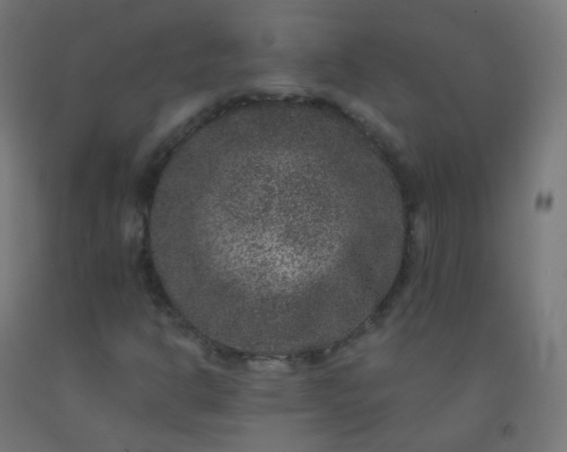 X0000092321302200709281358