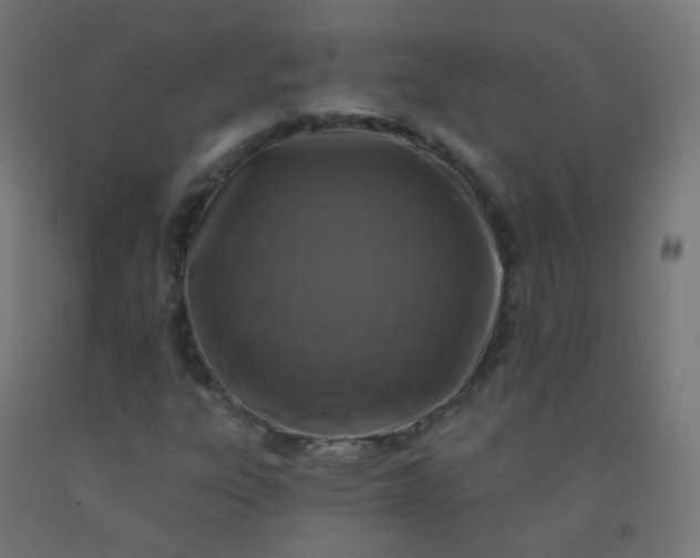 X0000092321303200709281358