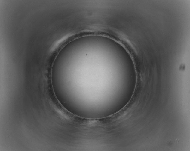 X0000092321304200709281358