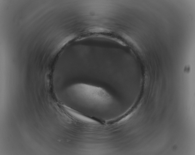 X0000092321305200709281358