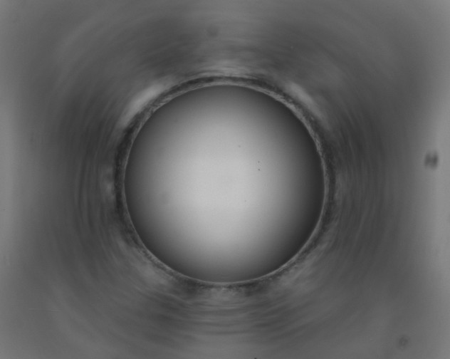 X0000092321307200709281358