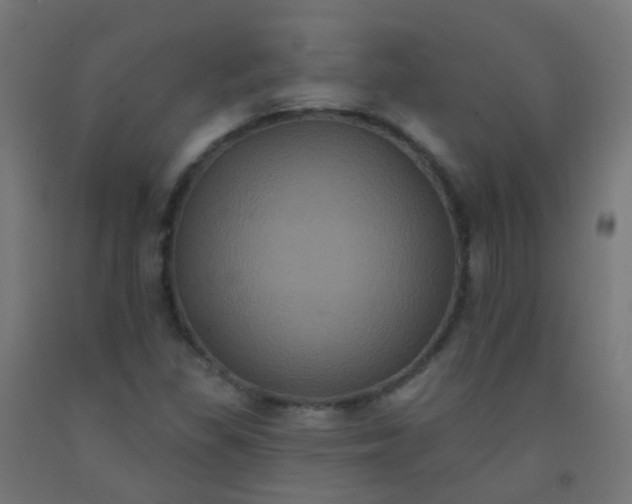 X0000092321309200709281358