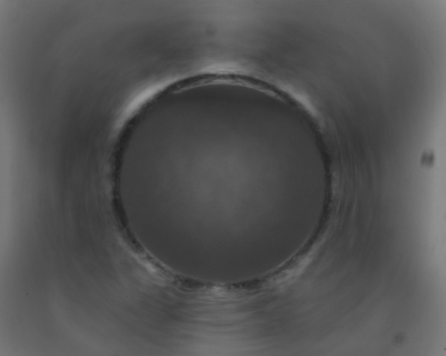 X0000092321311200709281358