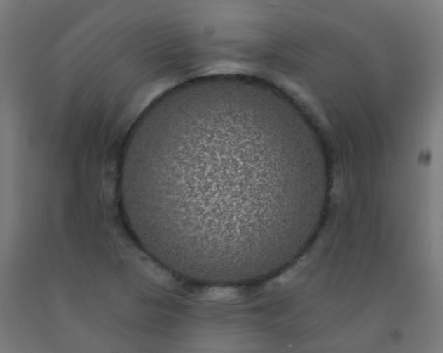 X0000092321313200709281358
