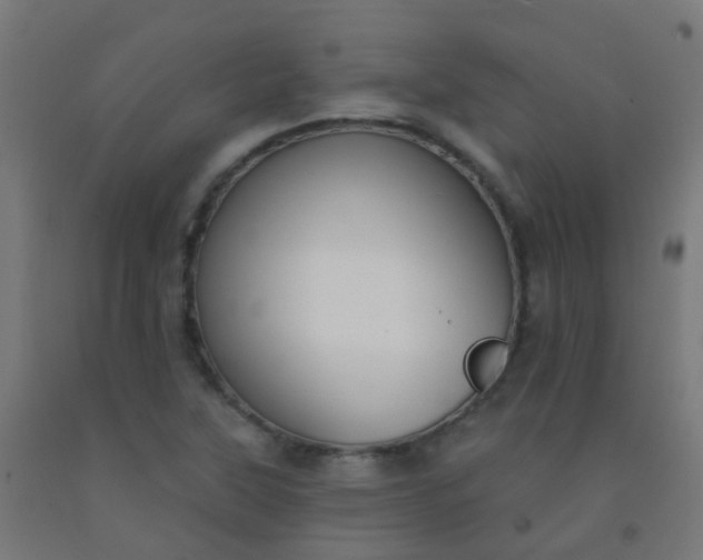 X0000092321315200709281358