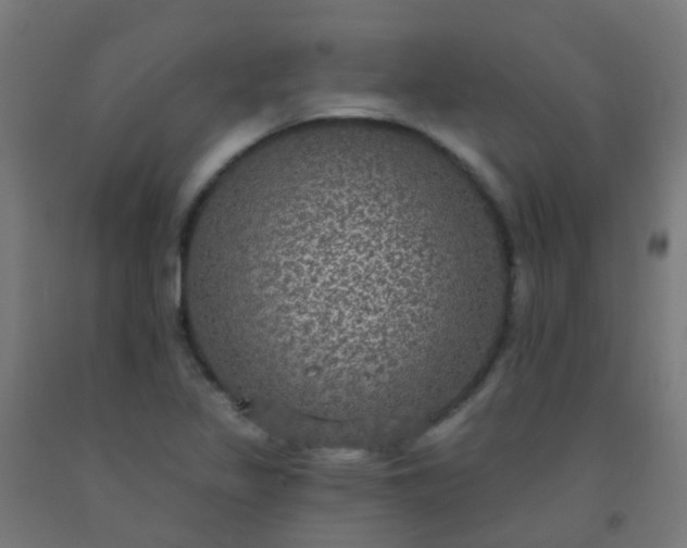 X0000092321317200709281358