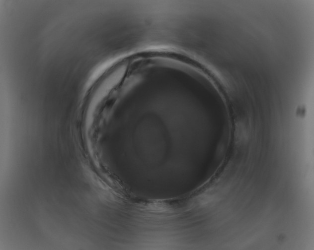 X0000092321319200709281358