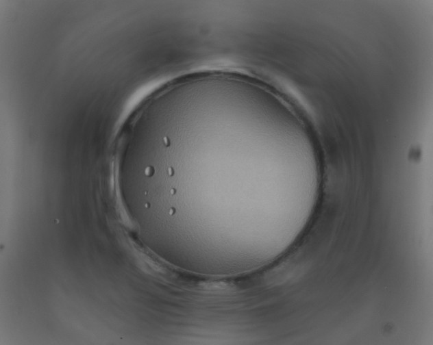 X0000092321320200709281358