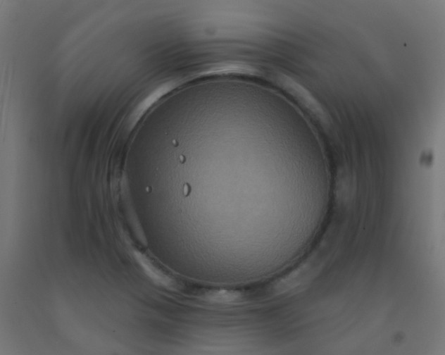 X0000092321321200709281358
