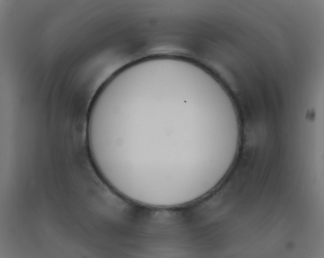 X0000092321322200709281358