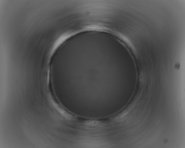X0000092321323200709281358