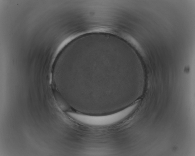 X0000092321324200709281358