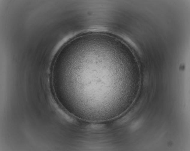 X0000092321325200709281358