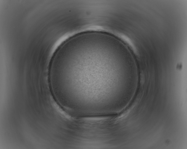 X0000092321326200709281358