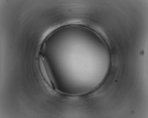 X0000092321328200709281359