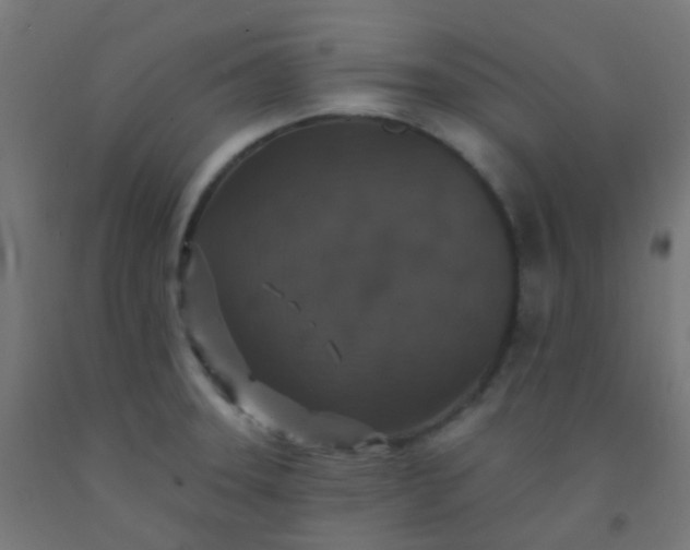 X0000092321331200709281359