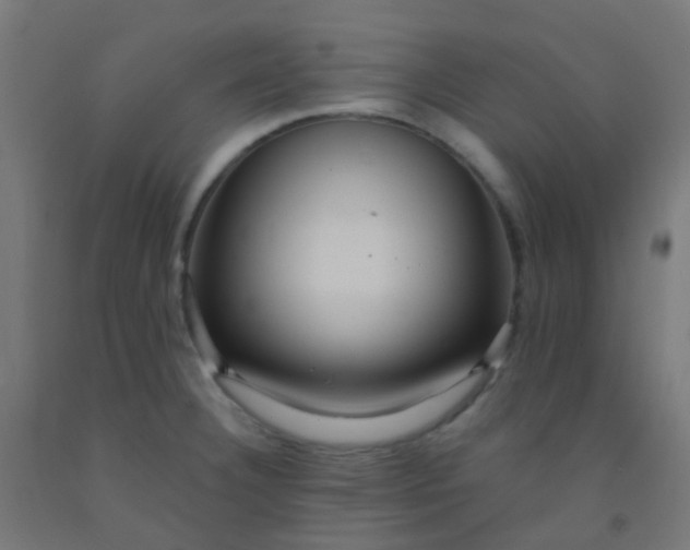 X0000092321332200709281359